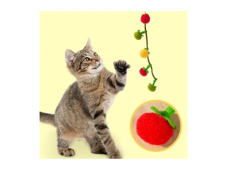 Layheld Cat Teaser Fruit-Shaped Squeaky String w Catnip