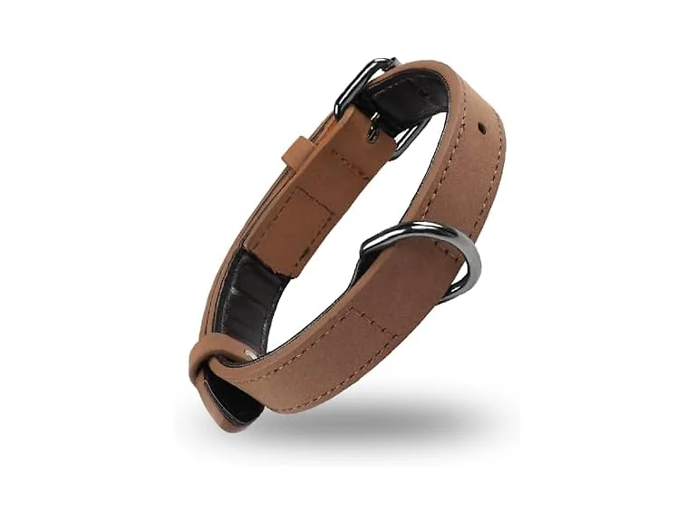 YAODHAOD Soft Padded Leather Dog Collar for