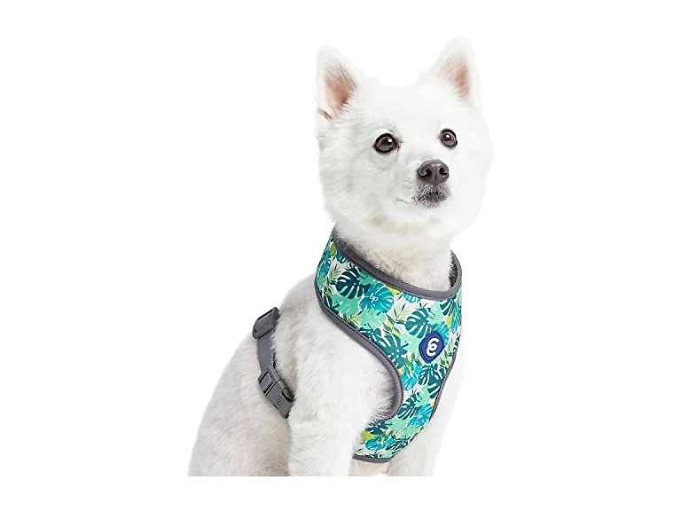 Blueberry Pet Essentials Soft & Comfy Bahama