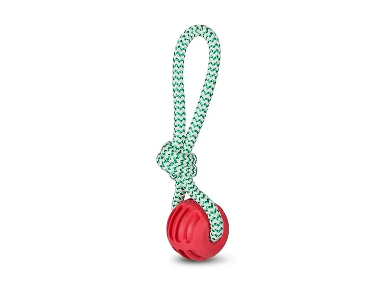 Bow Wow Pet Holiday Rope & Ball Dog Tug Toy, Small