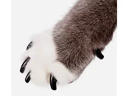 Purrdy Paws PURRDY Paws Soft CAT Nail CAPS, Black
