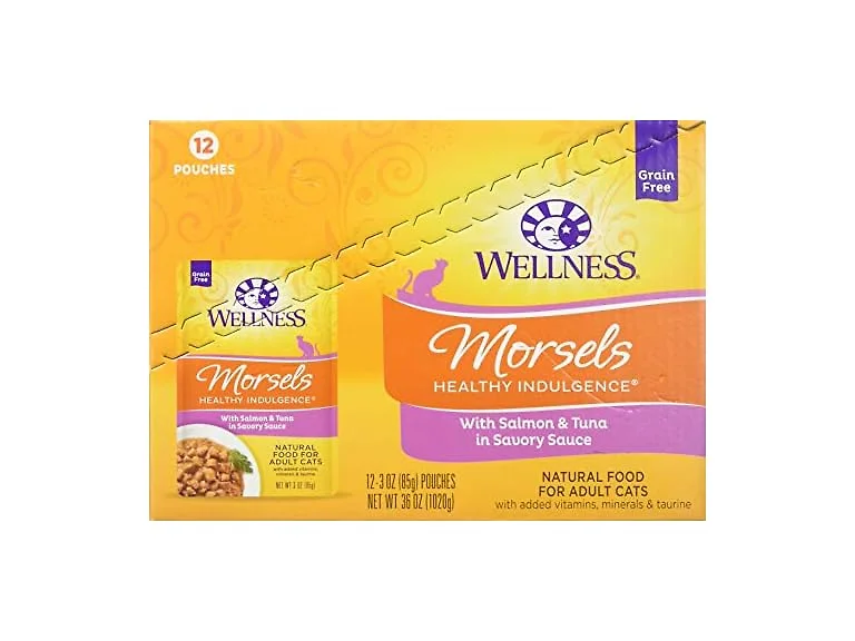 Wellness Healthy Indulgence Natural Grain Free Mor
