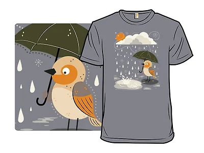 Raindrops and a Little Bird