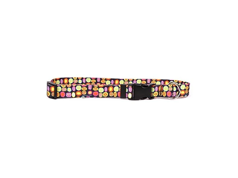 Yellow Dog Design Bright Fun Dog Collar 3/4"