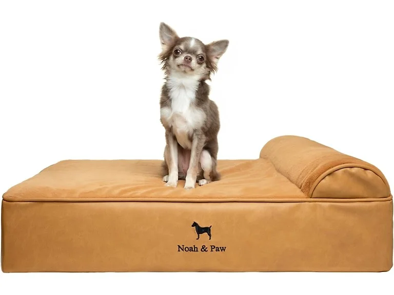 NOAH & PAW Orthopedic Dog Beds- Medium