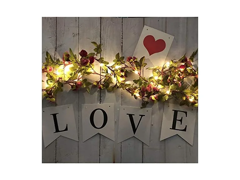 Fielegen 20 LED Rose Flower String Lights - 7.2ft