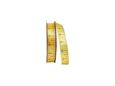 Reliant Ribbon Dyna Ruler Ribbon, Yellow