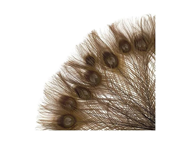 Zucker –Peacock Feathers – Feathers for