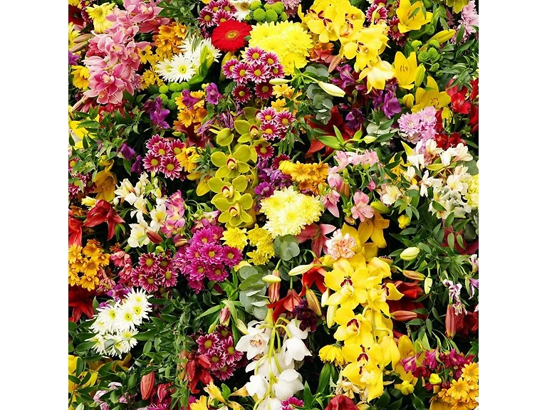 Summer Wedding Collection (100 Bulbs)