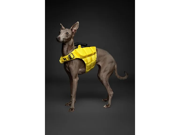 NOAH & PAW Dog Life Jacket- Small