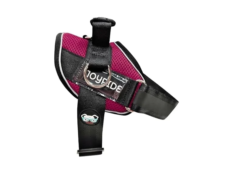 Joyride Summer Mesh No-Pull Dog Harness 2.0