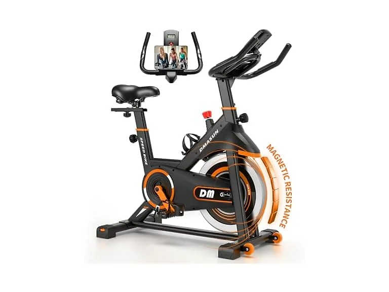 DMASUN Exercise Bike