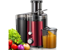 QCen NS91346 juicer machine