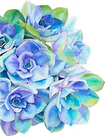 5D Diamond Painting Kit for Adult & Kids