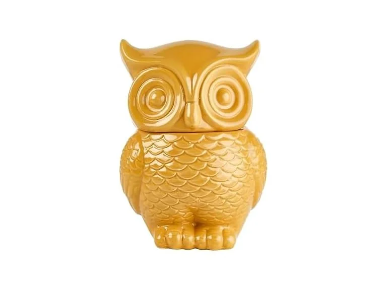 Elements 6.22x5.67x8.7 Inch Ceramic Owl Settings