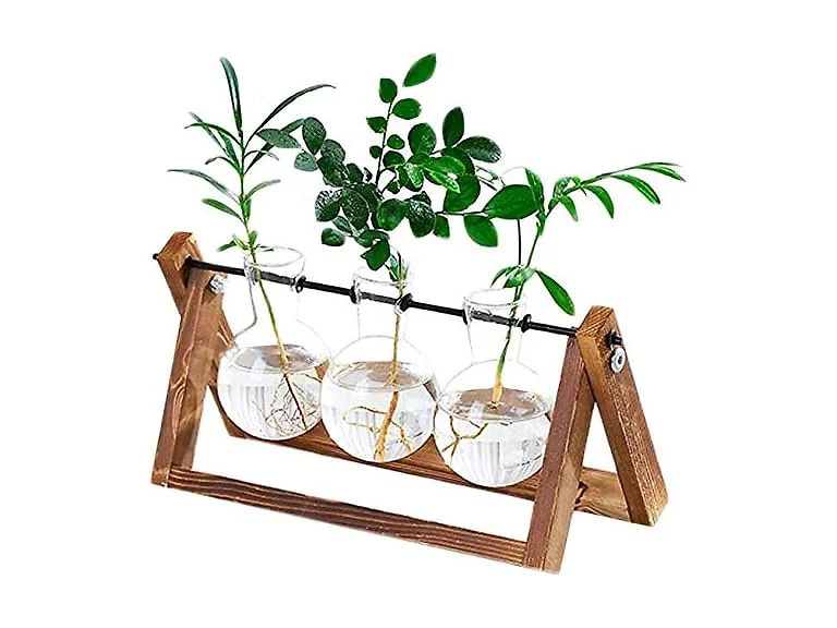 Water Planting Glass Vase w/Wood Stand