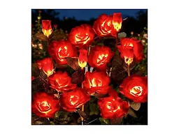 Brightown B0GCZX9BRK Brightown Solar Garden Lights,