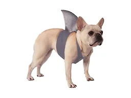Rubies Shark Fin Pet Costume for Dogs or Cats, M/L