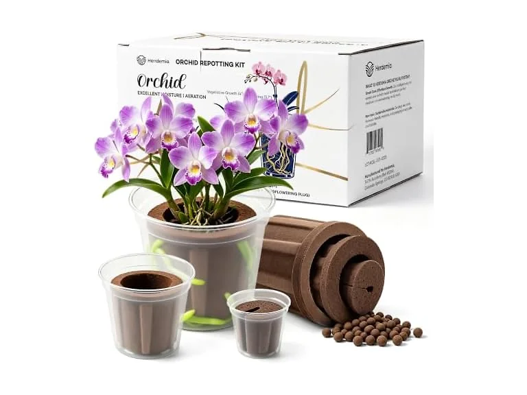 Herrdemia Orchid Repotting Kit