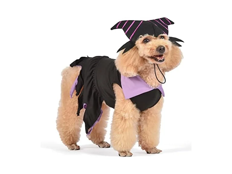 Disney for Pets Halloween Disney Villains Maleficent