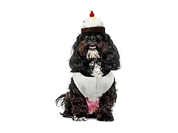 Rubies Cupcake Pet Costume for Dogs or Cats, Small