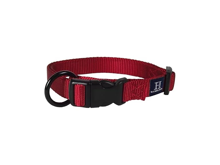 Hamilton Adjustable Nylon Dog Collar, Small, Red