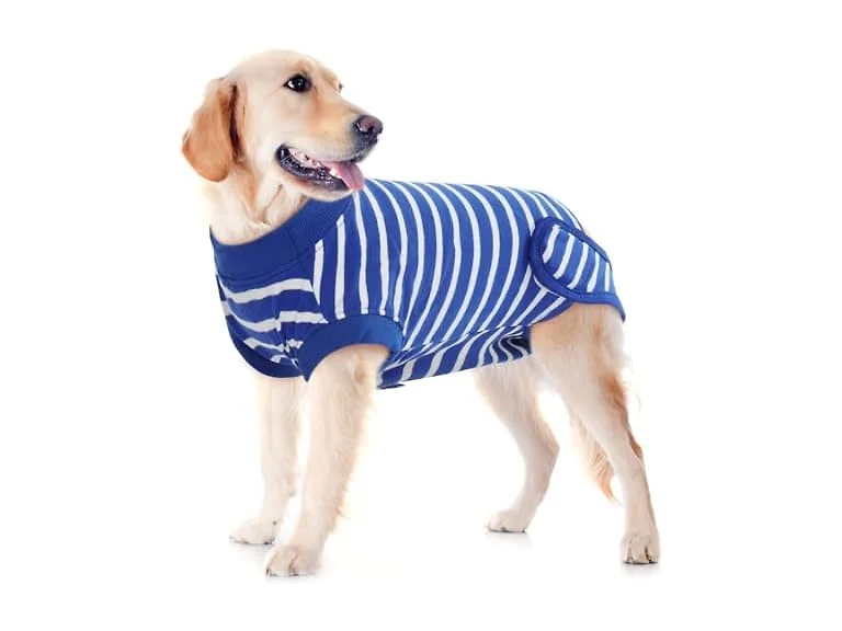 IDOMIK Dog Recovery Suit