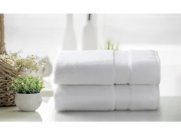 Kathy Ireland 4701 Kathy Ireland 2 Pc Plush Bath Sheets