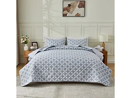 Vintage Floral Printed Quilt Set