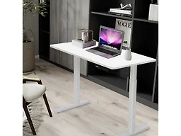 RISE UP ESSENTIAL affordable electric standing desk adjustable height