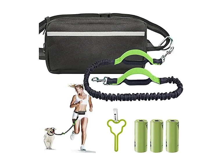 Hands Free Dog Leash, Dual Handle Retractabl