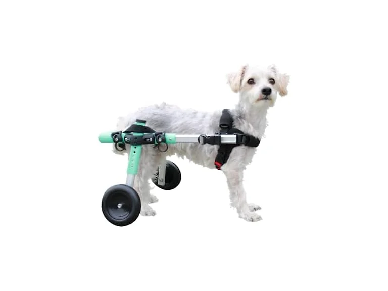 Walkin' Wheels Small Dog Wheelchair, Lightweight