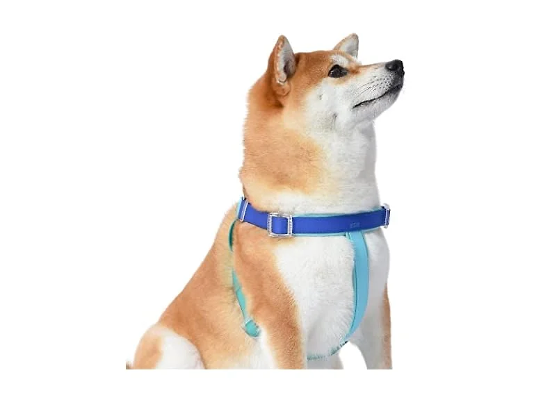 Wags & Wiggles Waterproof PVC Dog Harness, Tr
