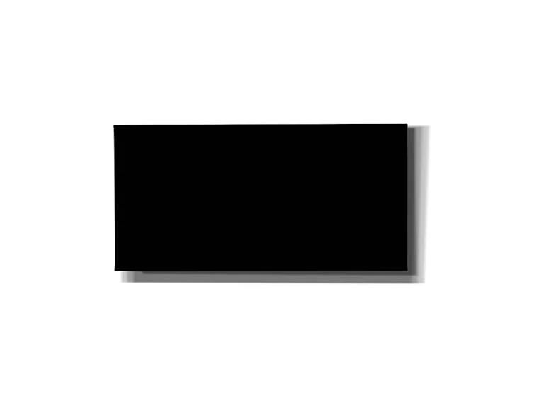 Epic Art Group Artist Cotton Matte Black Canvas 40"x54"