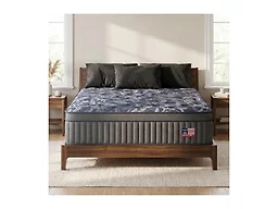 REALONE NS91416 Queen Mattress
