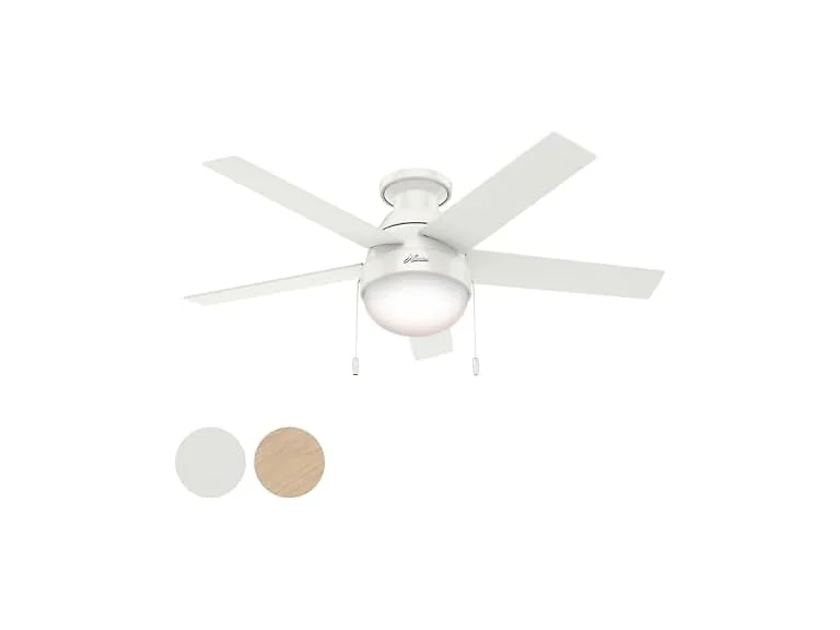 Hunter Fan 46" Contemporary w/ Light