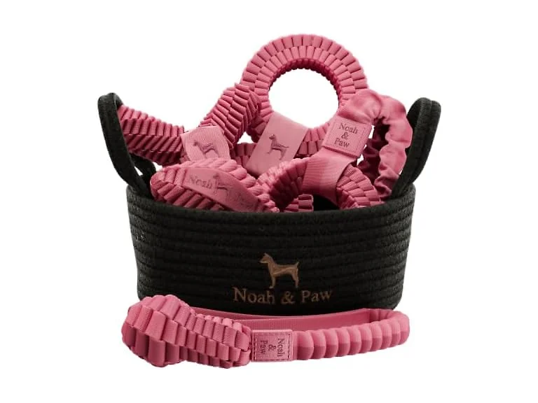 NOAH & PAW Luxury Dog Toy Gift Basket- Pink
