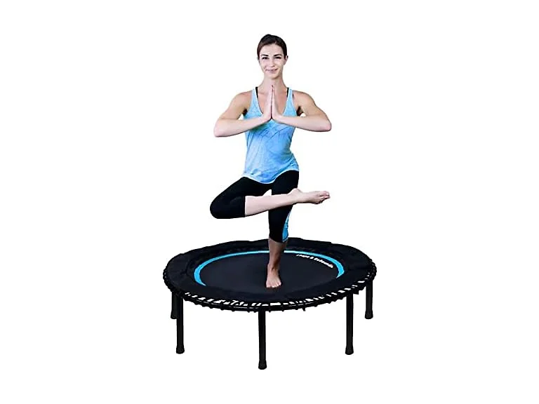 Leaps & Rebounds Bungee Rebounder V2