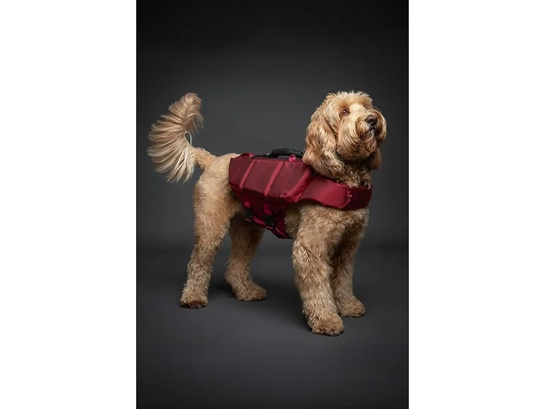NOAH & PAW Dog Life Jacket- Large