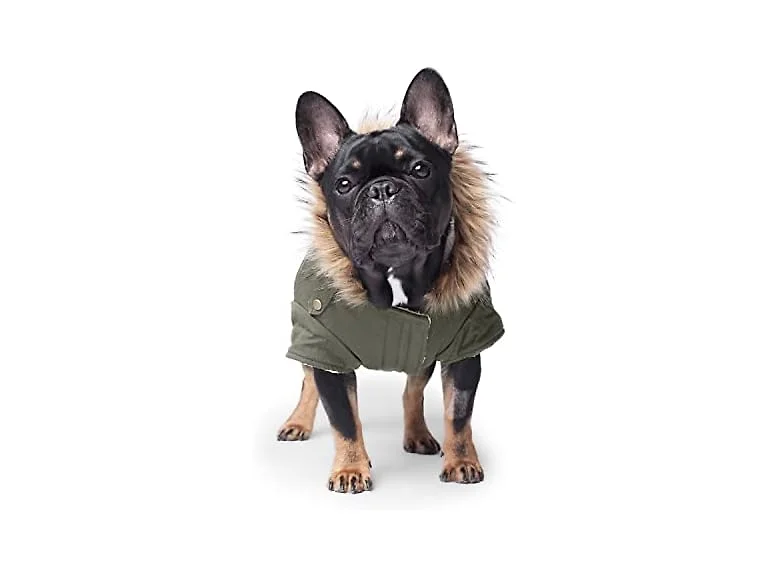 Canada Pooch Army Parka, Size 24 W, Green, D