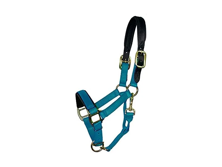 Intrepid International HALTER O/S 11-16