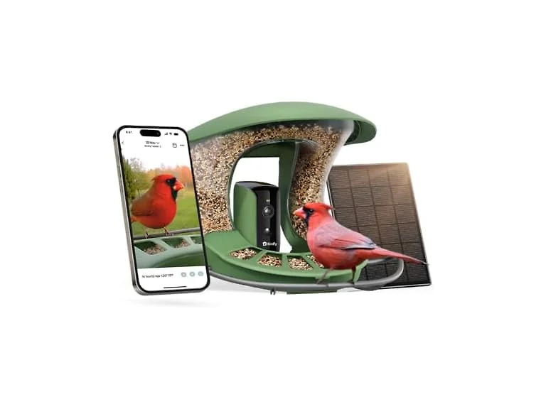 Birdfy 2 Smart Bird Feeder with Camera
