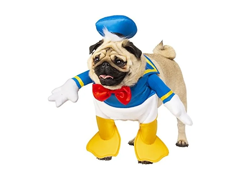 Disney: Donald Duck Pet Costume for Dogs