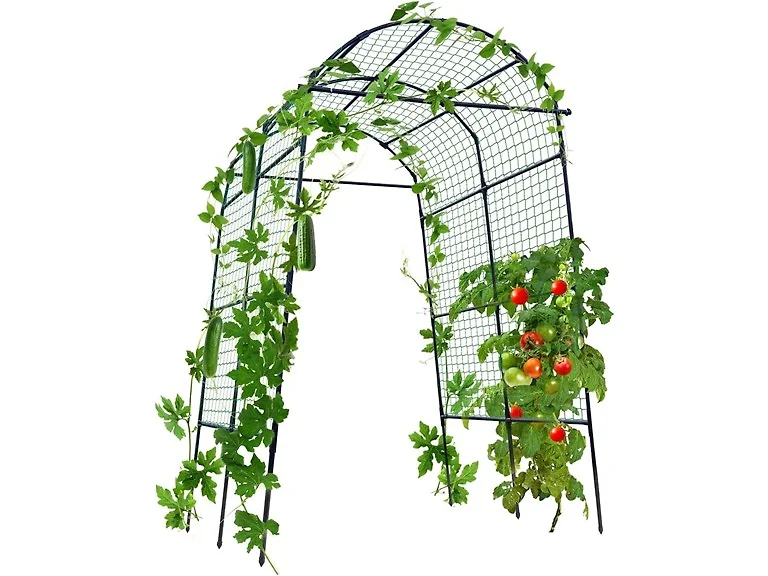 Garden Arch Trellis for Climbing Plants