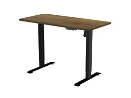 RISE UP ESSENTIAL affordable electric standing desk adjustable height