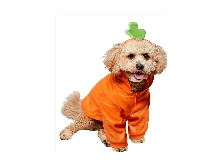 Rubies Carrot Pet Costume for Dogs