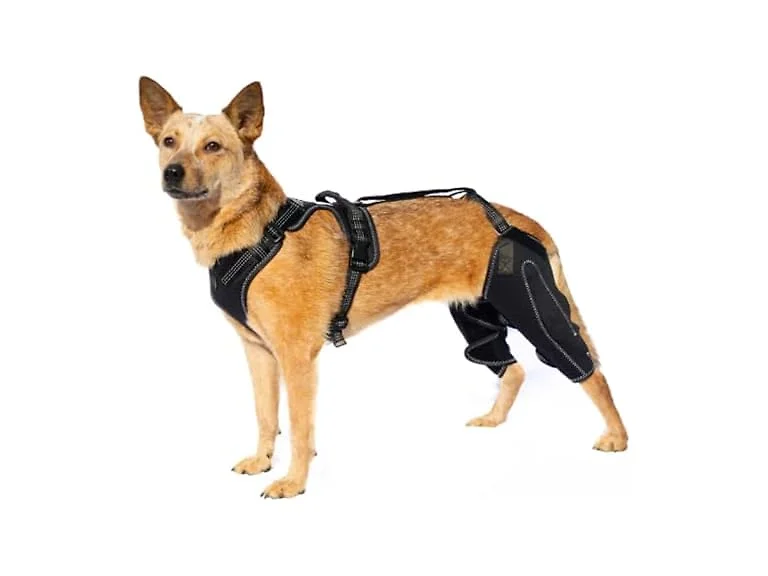 Oartway Knee Brace Harness for Dogs- Large