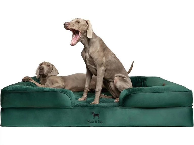 NOAH & PAW Dog/Cat Sofa- XXLarge