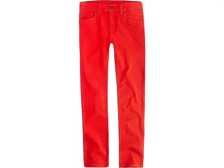 Levi's Boys' Big 510 Super Skinny Fit Jeans (16)