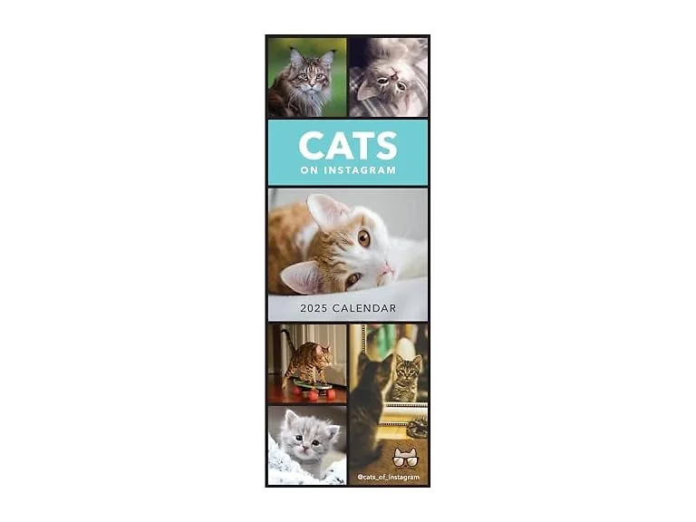 Portico Designs LTD 2025 Cats on Instagram Slim Wall
